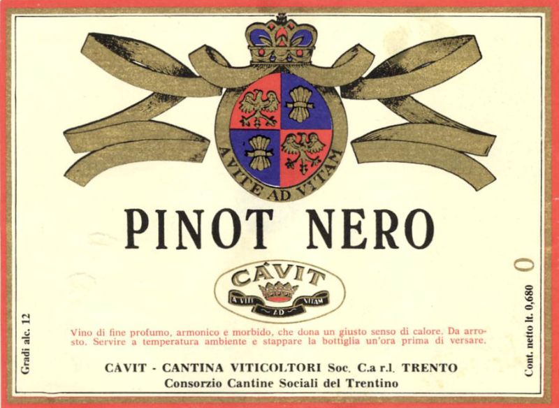 Pinot nero_Cavit 1970.jpg